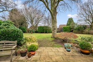 Photo 26- click for photo gallery